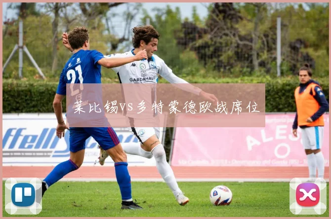 莱比锡vs多特蒙德欧战席位